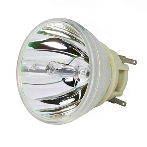 プロジェクターランプ ホームシアター テレビ 海外 輸入 CTLAMP Original 5J.JEE05.001 5J.J9E05.001 5J.J6E05.001 Projector Bare Bulb Compatible with BENQ W1110 W2000 HT2050 HT3050 W1210ST HT2150ST HT405プロジェクターランプ ホームシアター テレビ 海外 輸入