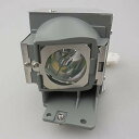 プロジェクターランプ ホームシアター テレビ 海外 輸入 CTLAMP RLC-078 Replacement Projector Bulb with Hous...