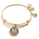 アレックスアンドアニ アメリカ アクセサリー ブランド かわいい Alex and Ani Path of Symbols Expandable Bangle for Women, Path of Life Embossed Charm, Rafaelian Silver Finish, 2 to 3.5 inアレックスアンドアニ アメリカ アクセサリー ブランド かわいい