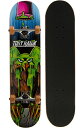 スタンダードスケートボード スケボー 海外モデル 直輸入 Tony Hawk 31 inch Skateboard, Tony Hawk Signature S...
