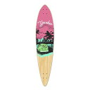 ロングスケートボード スケボー 海外モデル 直輸入 Yocaher Vibe Beach Series Skateboard Longboard Pintail...