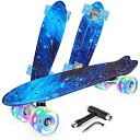 スタンダードスケートボード スケボー 海外モデル 直輸入 BELEEV Skateboard for Kids Ages 3-12, 22 inch Mini ...