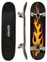 スタンダードスケートボード スケボー 海外モデル 直輸入 ChromeWheels 31 inch Skateboard Double Kick Skate B...