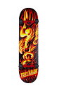 スタンダードスケートボード スケボー 海外モデル 直輸入 Tony Hawk 31 inch Skateboard, Tony Hawk Signature S...