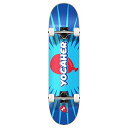 スタンダードスケートボード スケボー 海外モデル 直輸入 Yocaher Punked Complete Skateboards 7.75