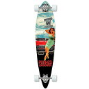 ロングスケートボード スケボー 海外モデル 直輸入 Yocaher Graphic Complete Pintail Skateboards Longboard w/Black Widow Premium 80A Grip Tape Aluminum Truck ABEC9 Bearing 70mm Skateboard Wheels (Complete -ロングスケートボード スケボー 海外モデル 直輸入