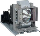 プロジェクターランプ ホームシアター テレビ 海外 輸入 5J.J5405.001 Replacement Projector Lamp Bulb for BE...
