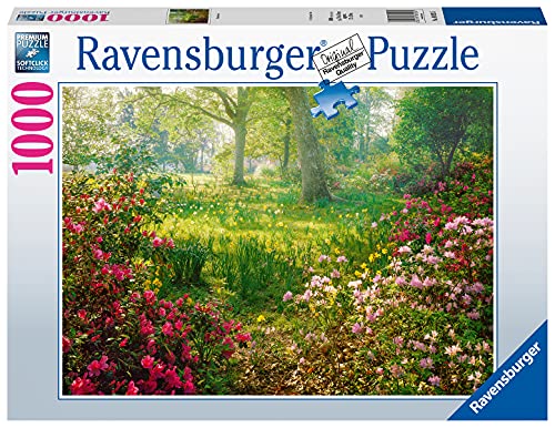 ѥ  1000ԡ դ 70x50 衦 Ravensburger