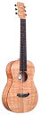 コルドバ アコースティックギター 海外直輸入 Cordoba Mini II FMH, Flamed Mahogany, Small Body, Nylon S...