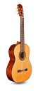 コルドバ アコースティックギター 海外直輸入 Cordoba C5 CD Lefty Classical Acoustic Nylon String Guita...