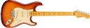 フェンダー エレキギター 海外直輸入 Fender American Professional II Stratocaster - Sienna Sunburs...