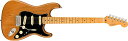 フェンダー エレキギター 海外直輸入 Fender American Professional II Stratocaster - Roasted Pine w...