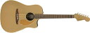 フェンダー アコースティックギター 海外直輸入 Fender Redondo Player Acoustic Guitar, with 2-Year Warra...