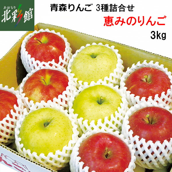 【青森りんごランド 恵みのりんご 3Kg（9玉)】送料込み・産地直送 青森【御歳暮】■発送期間：11月下旬～2月下旬