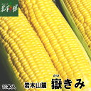 ◆【岩木屋 嶽きみ 10本入】送料込み・産地直送 青森