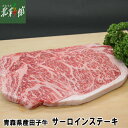 【肉の博明 青森県産田子牛サーロイン　ステーキ 250g×2枚】送料込み・産地直送 青森【お届け先が沖縄・離島は対象外となります】 1