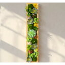 壁飾り 人工観葉植物 壁掛けインテリア ディスプレイ 壁掛けミックスグリーン造花(3)