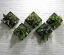 壁飾り 人工観葉植物 壁掛けインテリア ディスプレイ 壁掛けミックスグリーン 造花 壁掛け 5点セット