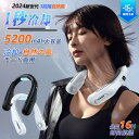 ネッククーラー 冷却プレート 首かけ扇風機 羽なし 首掛けミニ扇風機 ハンズフリー 充電式 持ち運び 熱中症対策室外 暑さ対策 作業 母の日 父の日 2024 ...