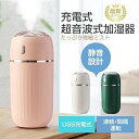 超音波加湿器 卓上 小型 加湿器 おしゃれ 大容量 USB 給電式 LEDライト付き 車載用 静音 省エネ 節電 エコ 持ち運び 次亜塩素酸水対応 300ml