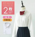 【2点セット】スクールシャツ 女子 長袖 レディース 送料無料 制服 スクールブラウス 女子 ノンアイロン 形態安定 抗菌防臭 スクール シャツ 高校生 制服 ...