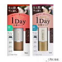 ホーユー シエロ ワンデー白髪かくし 9ml【ドラッグストア】【宅急便コンパクト対応】