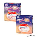 花王 めぐりズム 蒸気でグッドナイト 5枚入【ドラッグストア】【宅急便対応】
