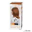 花王 リーゼ 泡ブリーチ ナチュラルトーン 108ml【ドラッグストア】【宅急便対応】
