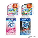 白元アース アイスノン シャツミスト 大容量 300ml【ドラッグストア】【宅急便対応】