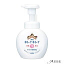 ライオン キレイキレイ 薬用 泡ハンドソープ シトラスフルーティの香り 250ml【ドラッグストア】【宅急便対応】(4)