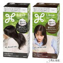 花王 リーゼ 泡カラー 髪色もどし 115ml【ドラッグストア】【宅急便対応】