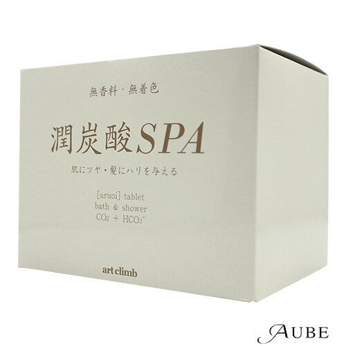 潤炭酸SPA 60g×10錠【宅急便対応】