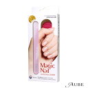 マジックネイル セクシーネイルシャイナー【定形外対応 容器込の総重量36g】