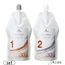 シュワルツコフ NS ウォータリング CYS30 1剤 400ml 2剤 400ml 合計2点セット【宅急便対応】