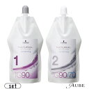 シュワルツコフ NS ウォータリング TG90 1剤 400ml 2剤 400ml 合計2点セット【宅急便対応】