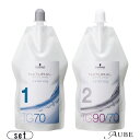 シュワルツコフ NS ウォータリング TG70 1剤 400ml 2剤 400ml 合計2点セット【宅急便対応】