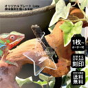 爬虫類 両生類 キーホルダー Lサイズ スタンダードカット 名入れ 陸の生き物
