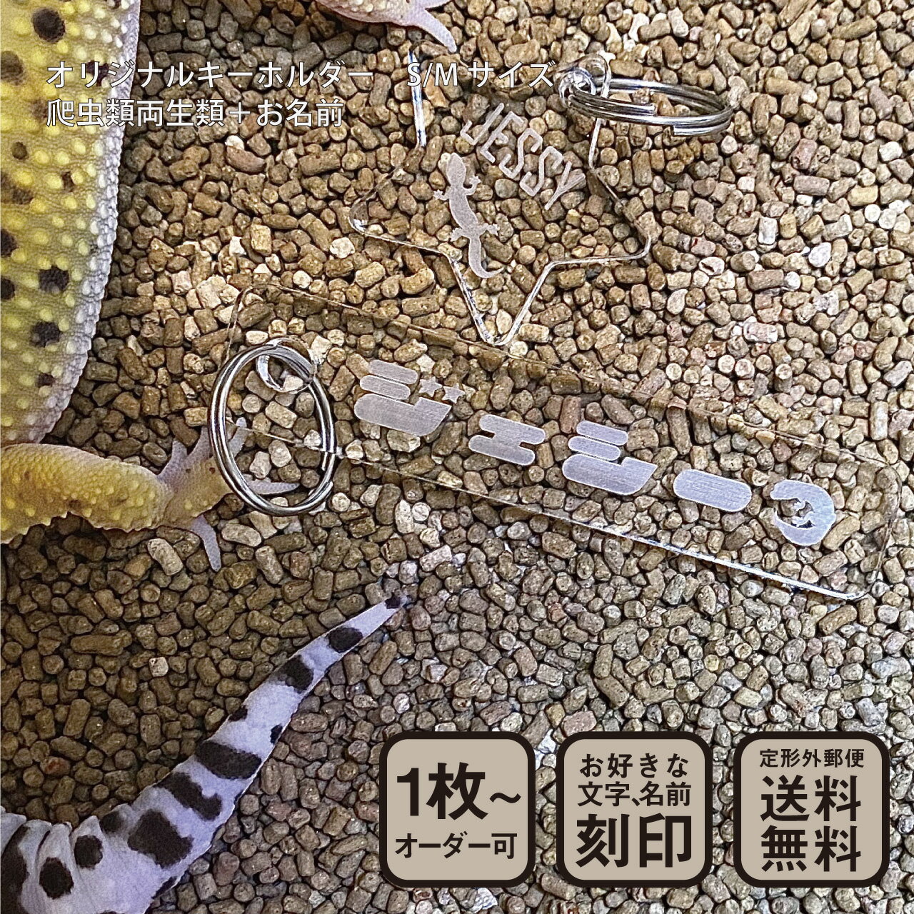 爬虫類 両生類 キーホルダー Sサイズ スタンダードカット 名入れ 陸の生き物
