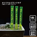 蛍光プランツタグ 3枚セット(同一デザイン) 植物ネームプレート 園芸ラベル ガーデニングラベル 植物タグ 蛍光 アガベ パキポディウム ユーフォルビア サボテ...