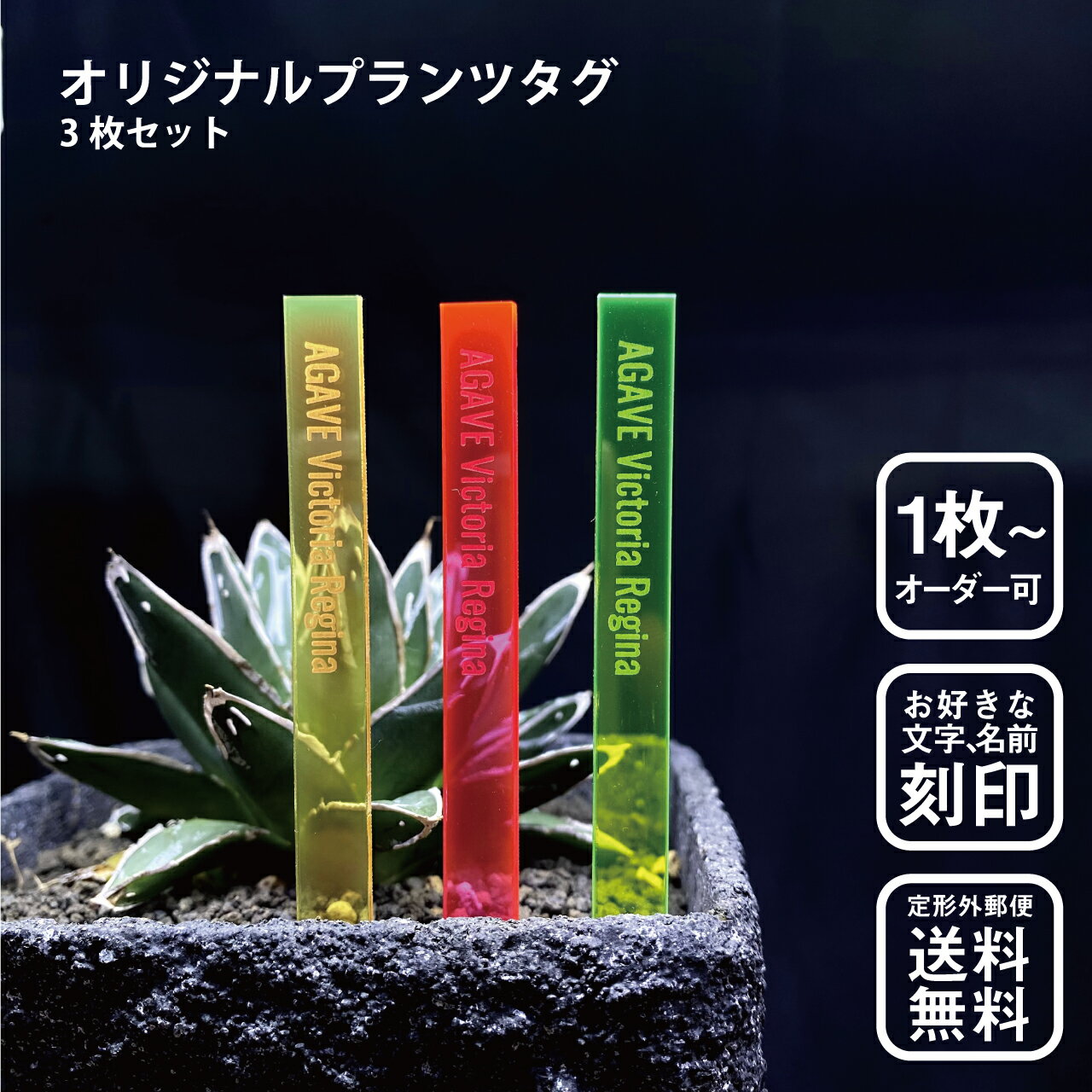 ★ スーパーセール 10％OFF ★ オリジナル蛍光プランツタグ 3枚セット 植物ネームプレート 園芸ラベル ガーデニングラベル 植物タグ 蛍光 アガベ　パキポディウム　ユーフォルビア　サボテン　エケベリア　ハオルチア　多肉植物　塊根植物