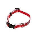 訳あり ペティオ シンプルボーダーカラー 20mm M レッド 犬 いぬ イヌ ワケあり アウトレット ペット 中型犬 赤 首輪