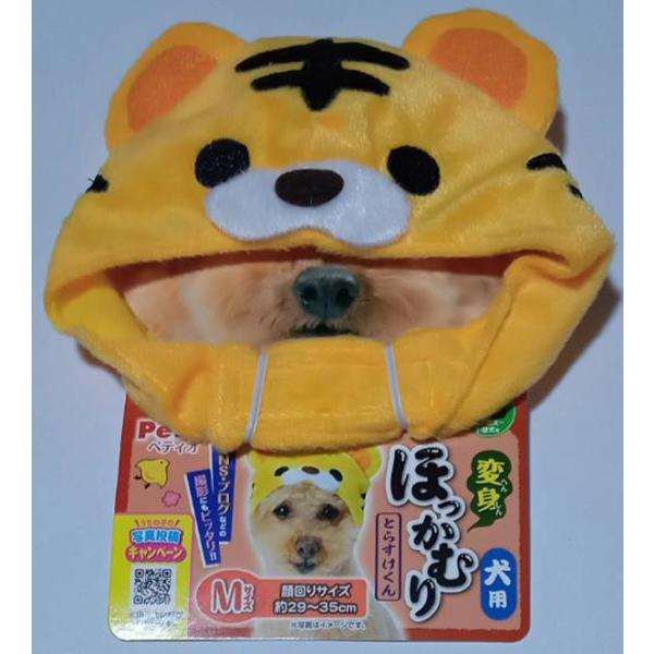 �ͥ��ݥ��ز�ǽ �ڥƥ��� ���� �ѿȤۤä���� �Ȥ餹������ M������