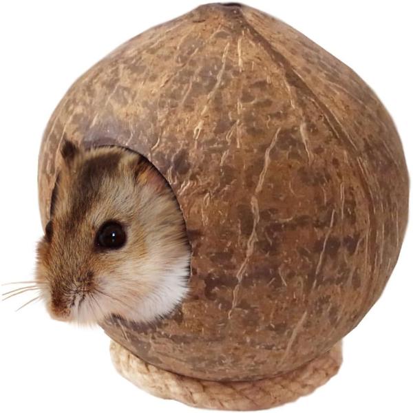 ドギーマン ミニアニマン 天然ココの実ハウス Sサイズ