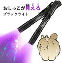 ペット 猫 犬 おしっこ チェック ライト 尿 お粗々 歯垢 チェック ペンライト しつけ ブラックライト ペン 小型 強力 菌 指紋