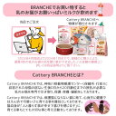 北の極 エゾシカやわらかステーキ 120g 犬 いぬ イヌ おやつ 犬おやつ オヤツ 無添加 鹿 鹿肉 アレルギー 3