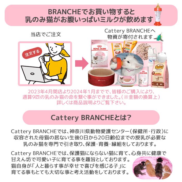 ネコポス便可能 フェリーク キャットカラー デニムリボン ブルー★