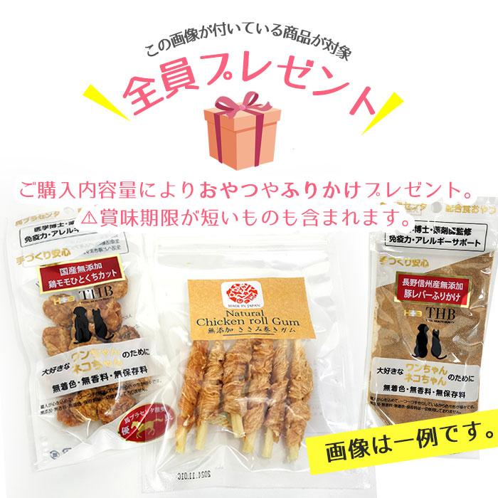 パウレ チキン 成犬用 5.8kg おまけ付き