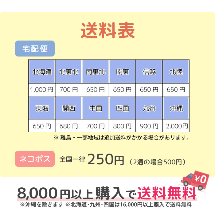 ネコポス便可能 フェリーク キャットカラー デニムリボン ブルー★