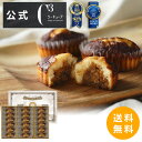 【ポイント3倍】＜送料無料＞焼きティラミス 18個入り 【シーキューブ-C3-】 贈り物 ティラミス お菓子 焼菓子 スイーツ 詰め合わせ おしゃれ ギフト 手土産 高級 プチギフト 内祝い プレゼント 個包装 常温 洋菓子 かわいい 挨拶 引っ越し 退職 CYT-30D