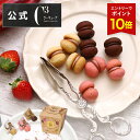 【エントリーでポイント10倍】お中元 2025 お菓子 お返し 内祝い 帰省 プレゼント 詰め合わせ ギフト 可愛い スイーツ 洋菓子 お祝い お礼 個包装 プチギフト お配り おしゃれ クッキーCSC-12R サクッチ・ホロッチ 12個入